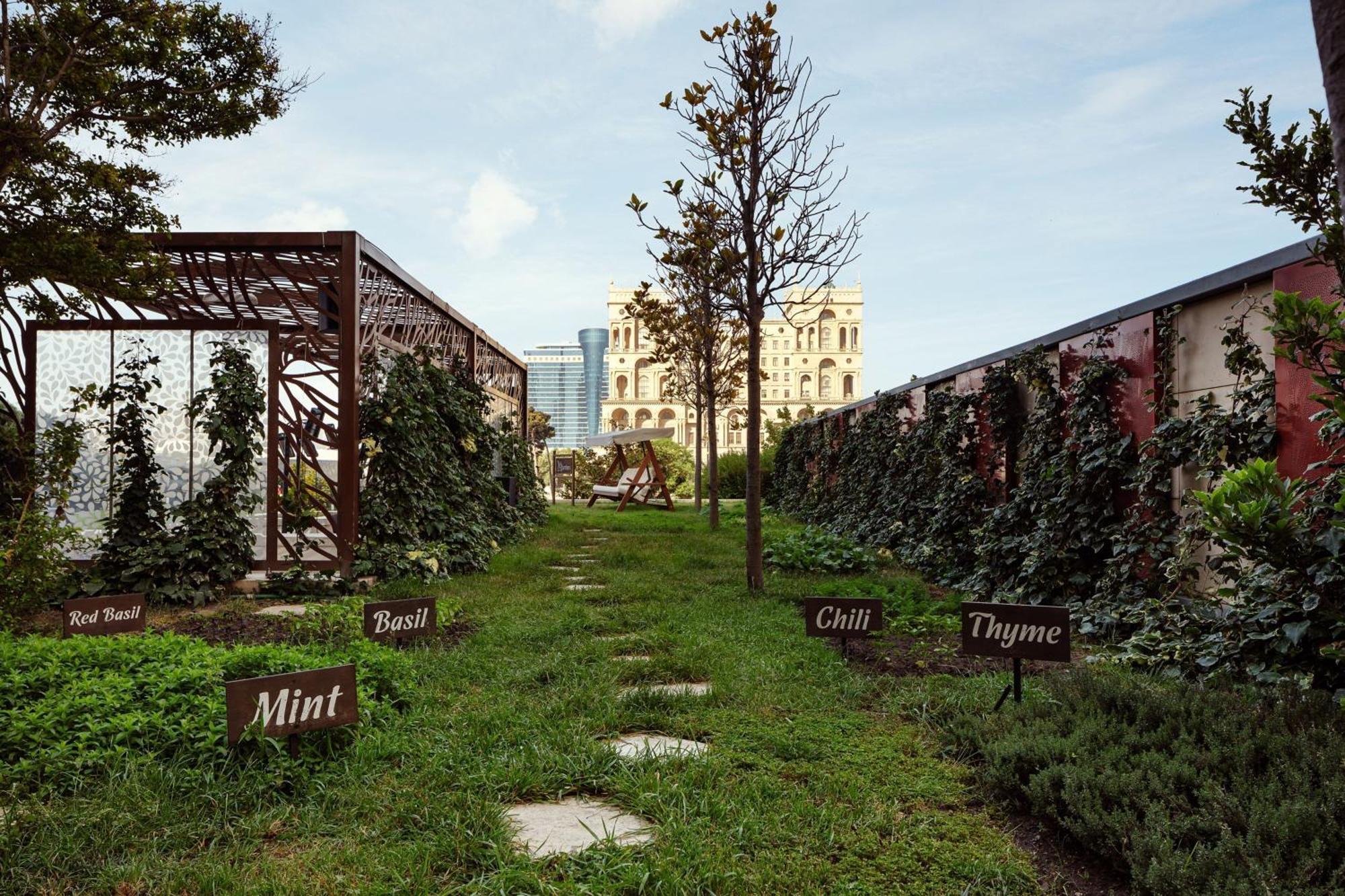 เจดับบลิว แมริออท อับเชอรอน บากู Hotel ภายนอก รูปภาพ The garden
